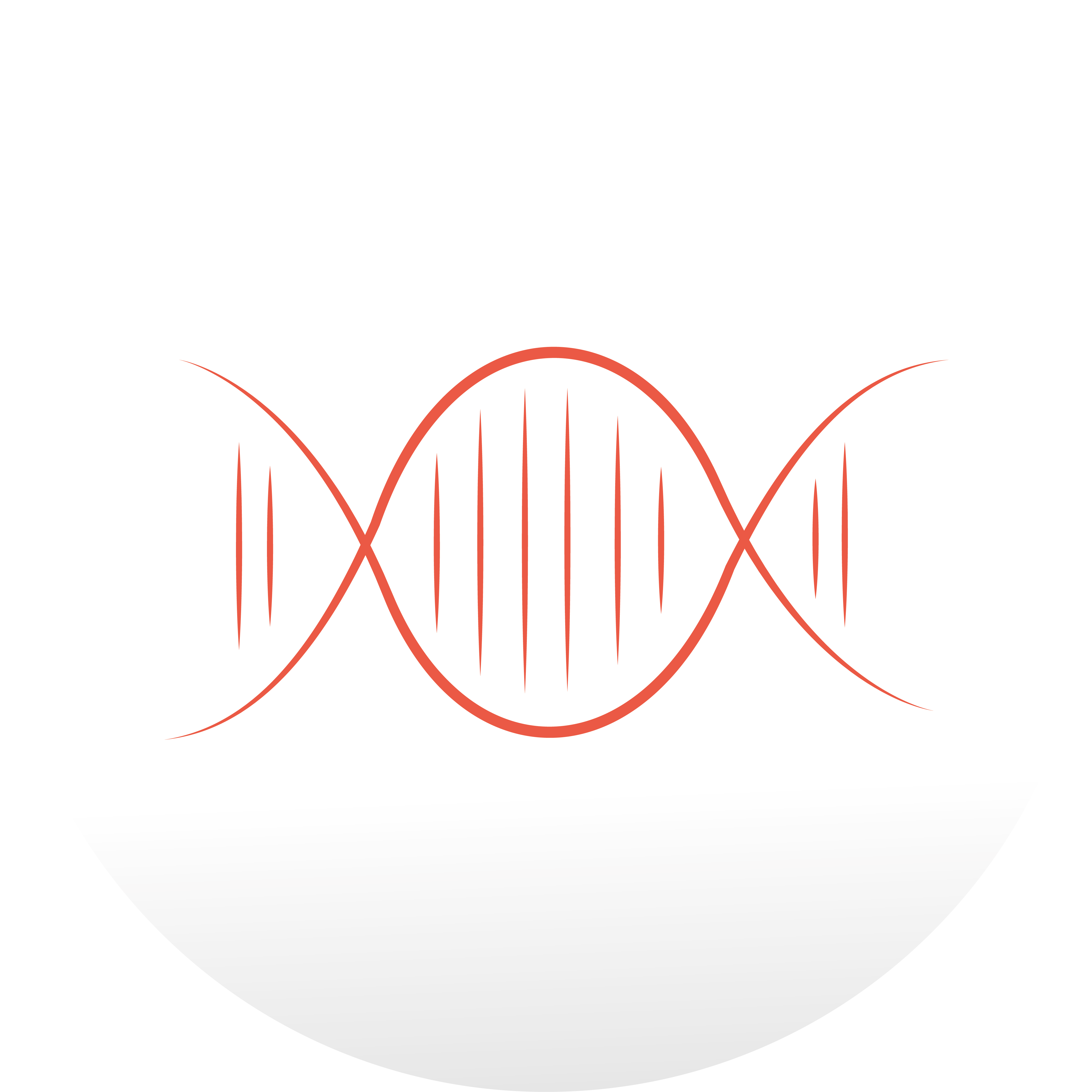 HeLa Nuclear Extracts (Not dialysed)